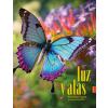 Luz y alas